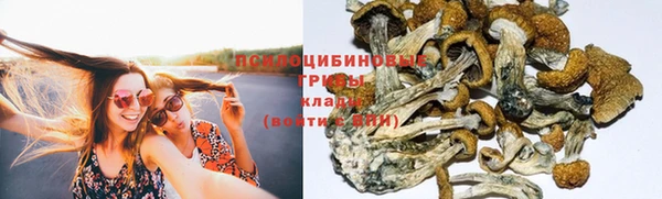 MDMA Premium VHQ Заволжск