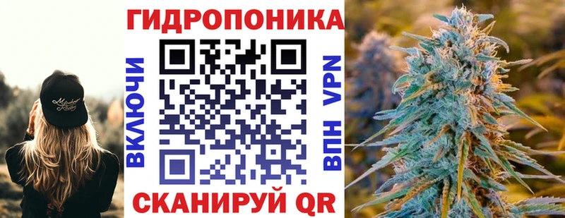 блэк спрут ссылки Тимашёвск Шишки марихуана Amnesia дарнет шоп